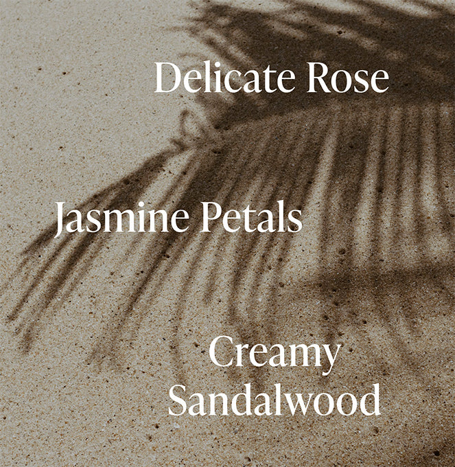 Santal Bloom - Vault Set