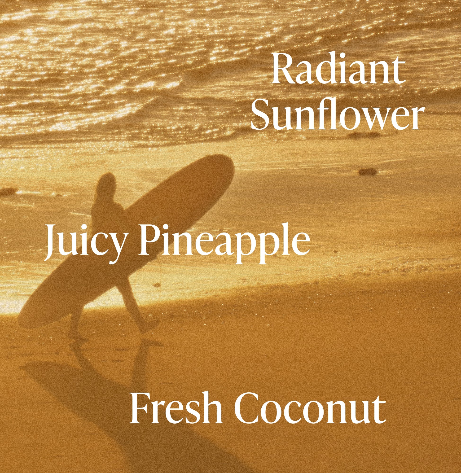 Golden Hour Shimmer + Glow Body Oil Duo