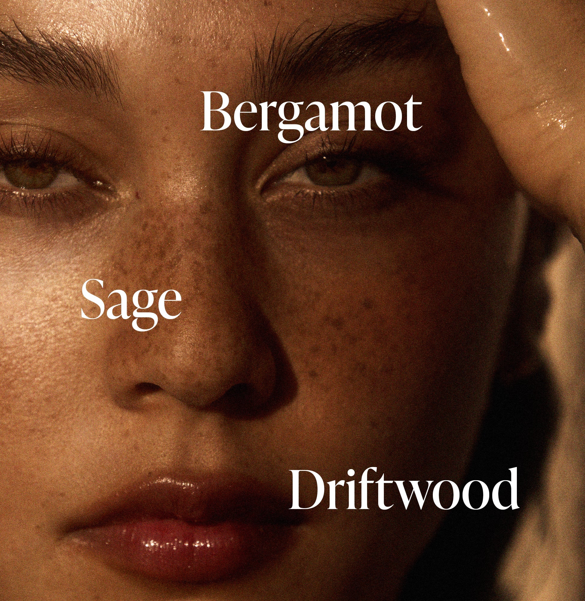 Driftwood - Body Butter