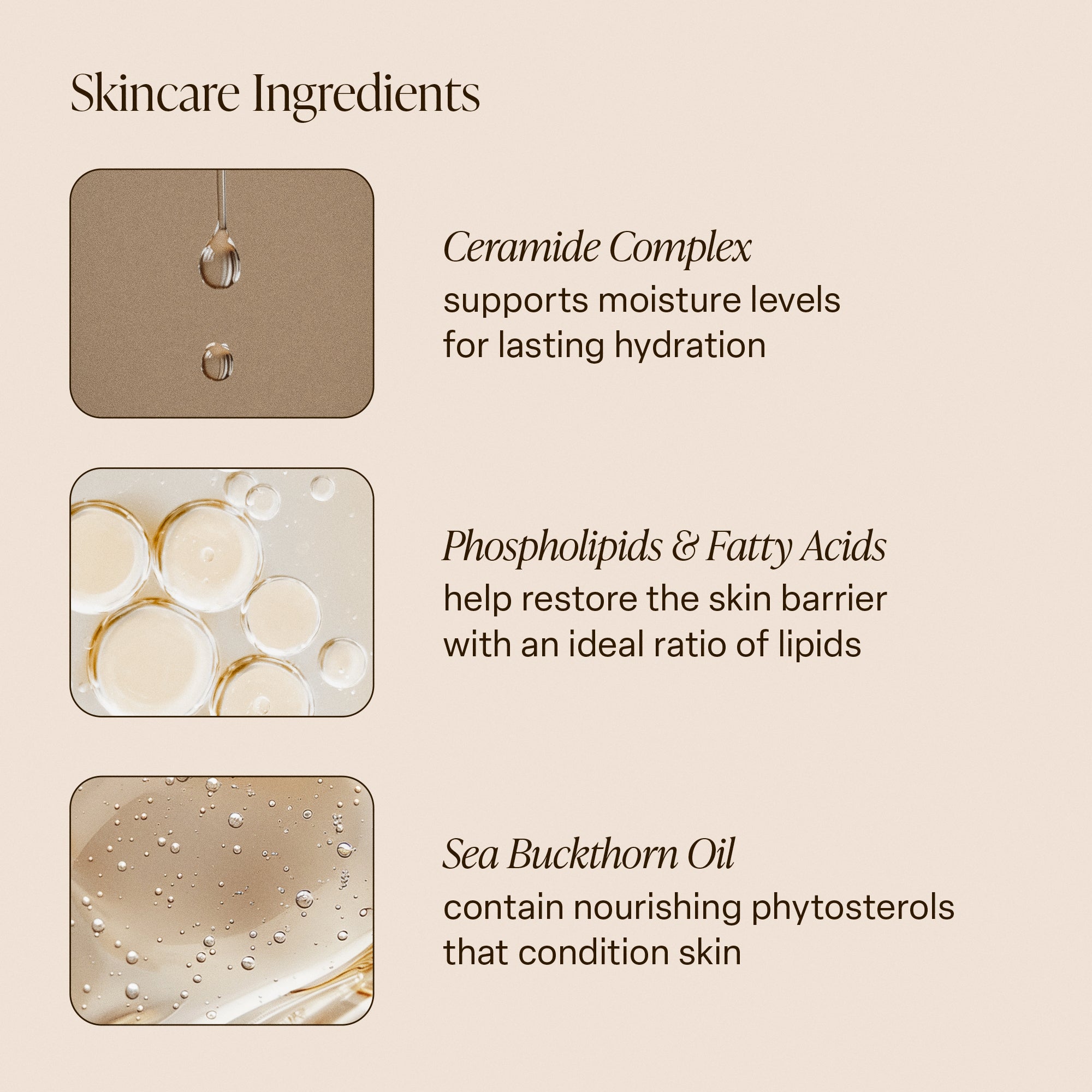 Driftwood - Body Butter