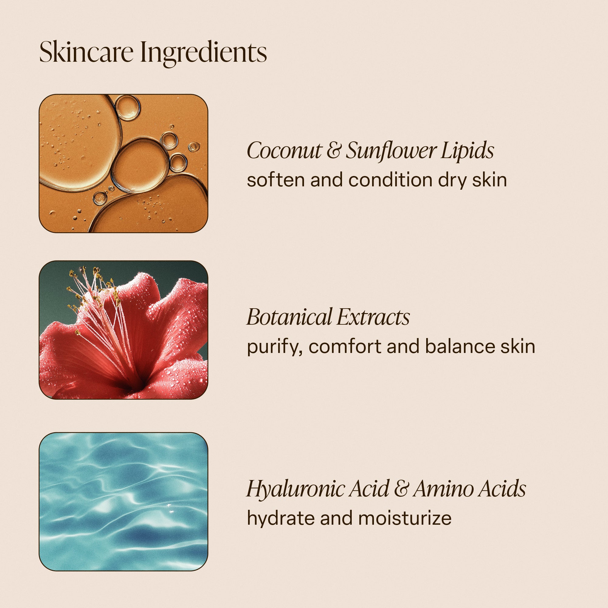 Driftwood - Body Wash