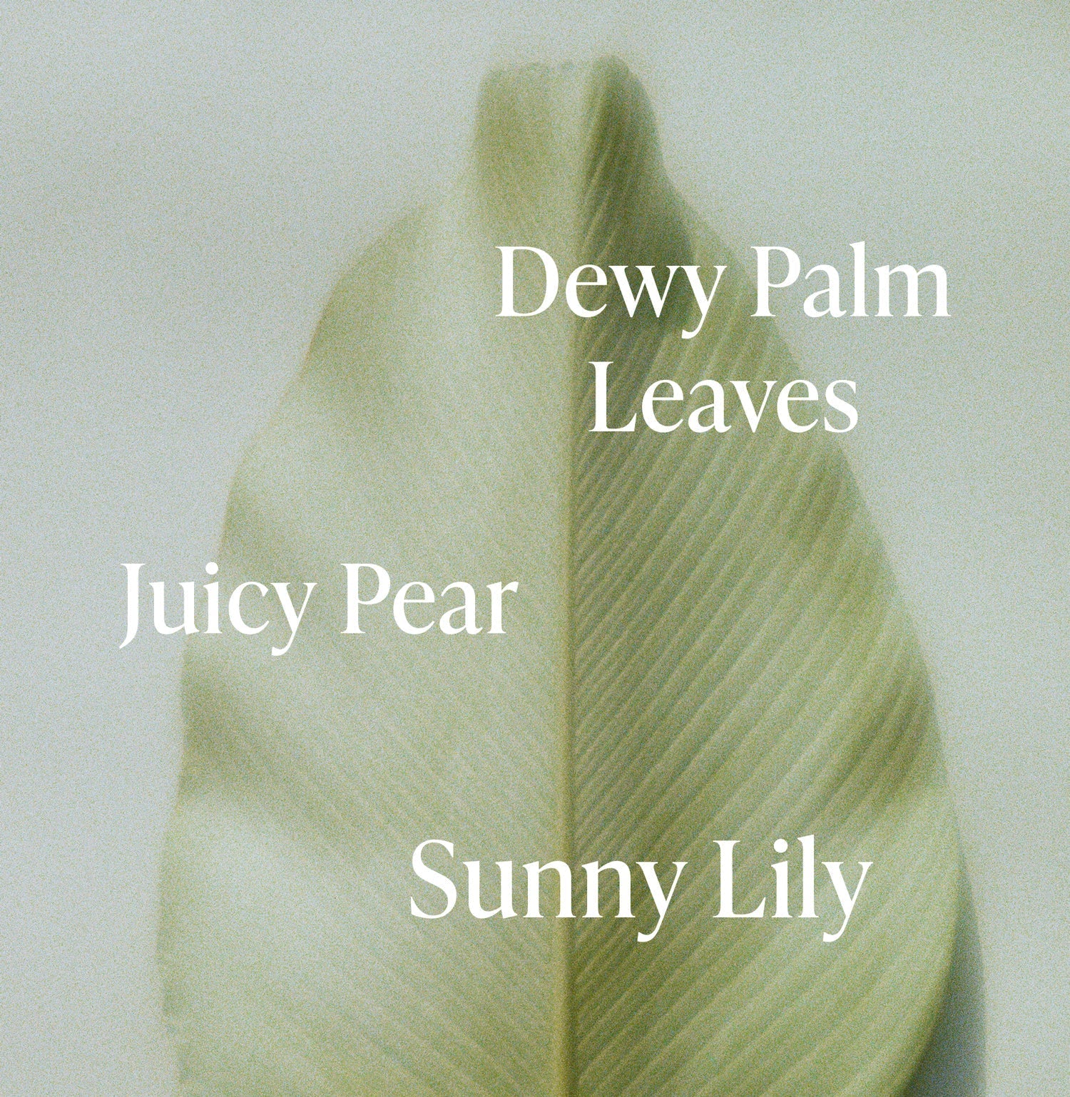 Lush Greens - Travel Size Body Wash