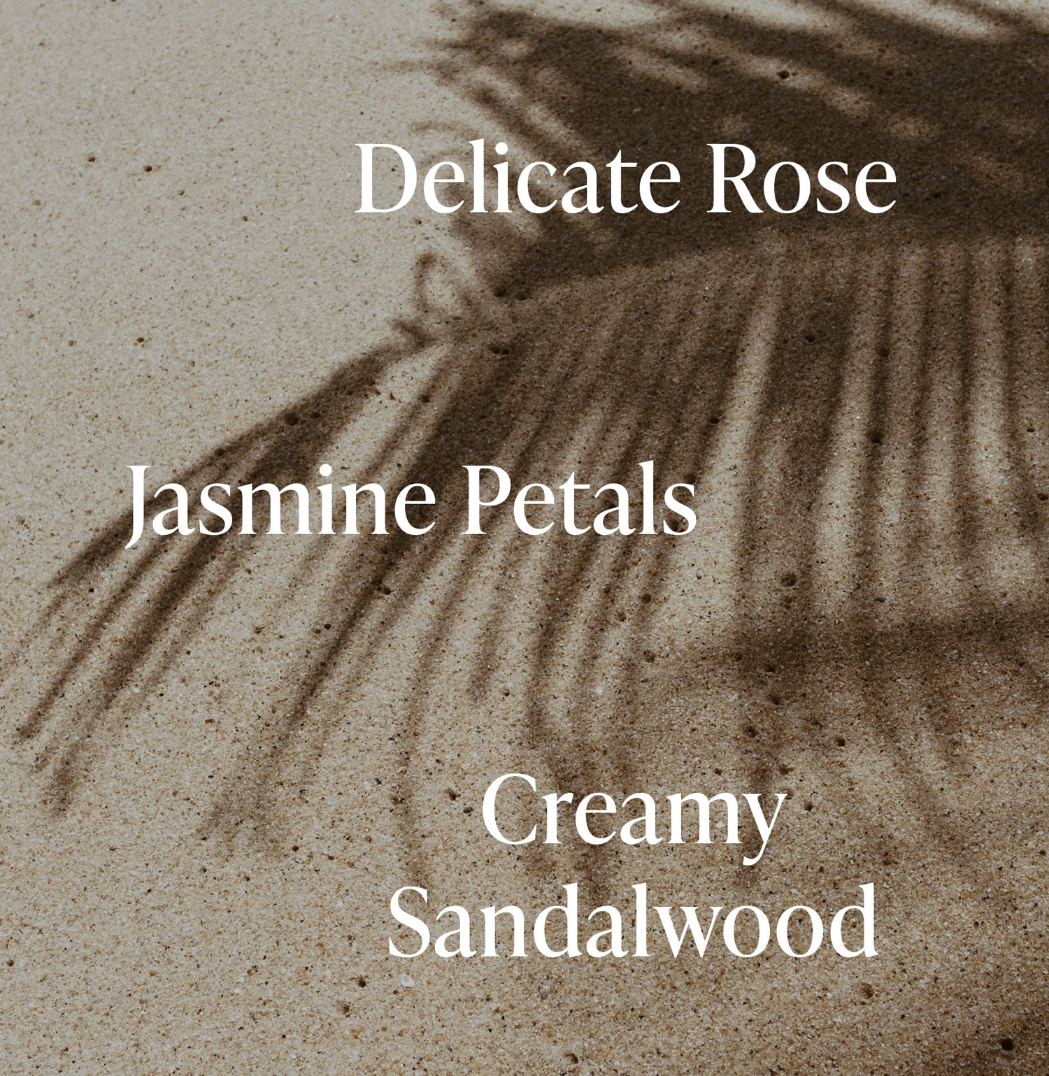 Santal Bloom - Cleanse & Hydrate Bundle